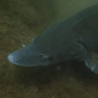 3-DSCI0583-scaled