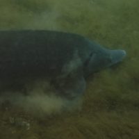 4-DSCI0584-scaled