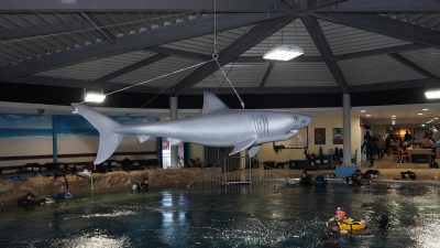 Dive4Life2025_41-scaled
