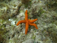 Gozo 14 (6)